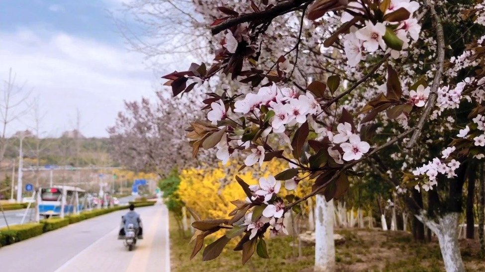 【超燃Vlog   蜀黍带你去看派出所民警的一天】 #不是饭也舍不得删的照片# 派出所民警