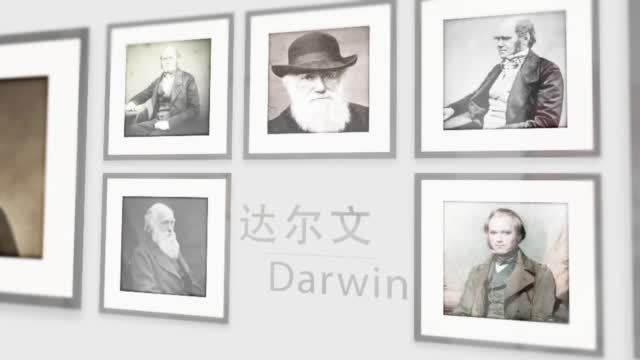 【中国科学家发现5亿年前虾形化石 为达尔文进化论增添有力实证】11月5日,英国《自然》杂志