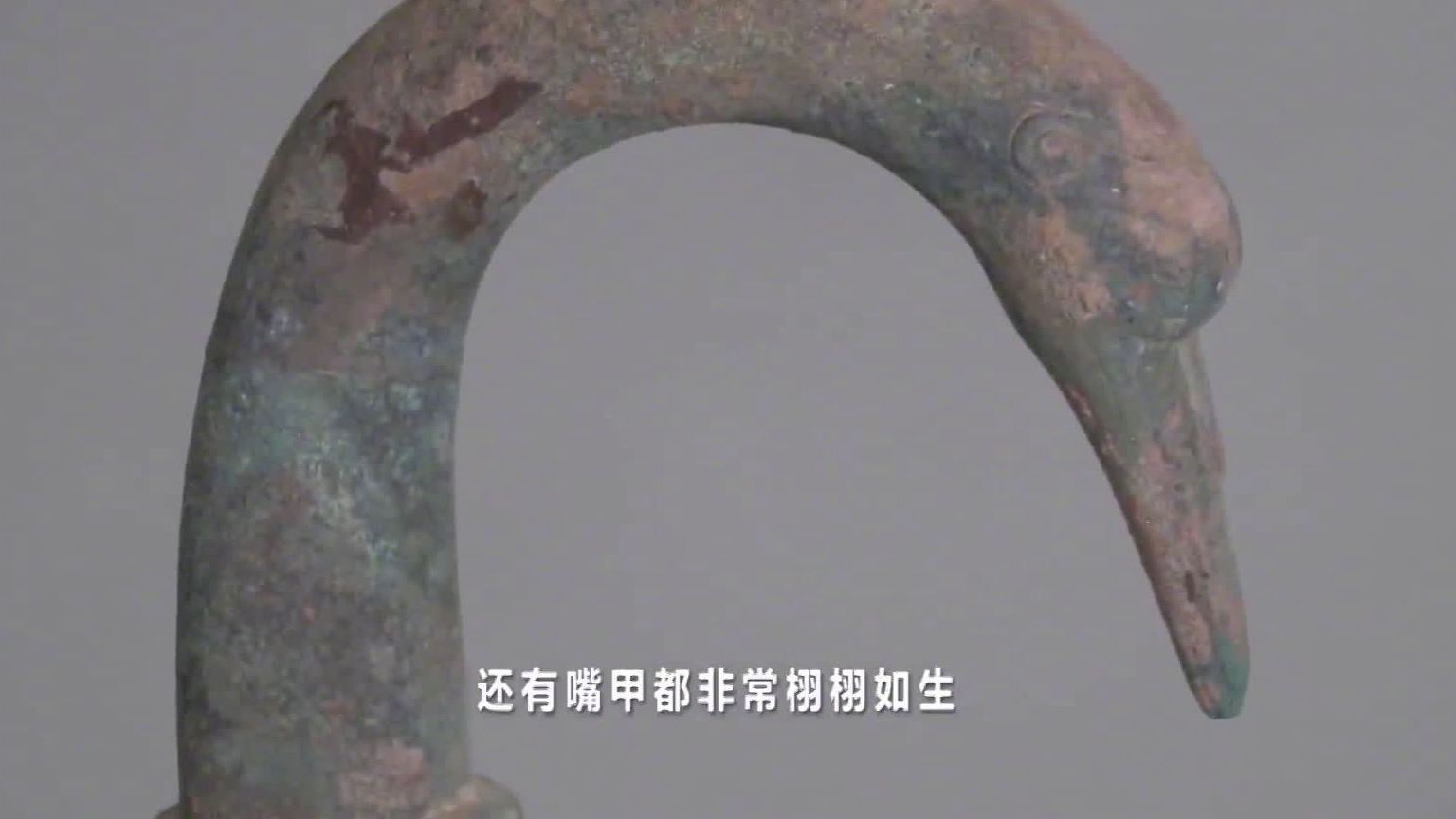 【河南出土鹅首曲颈青铜壶 内有不明液体  你猜会是神马呢?】河南省三门峡市文物考古研究所的