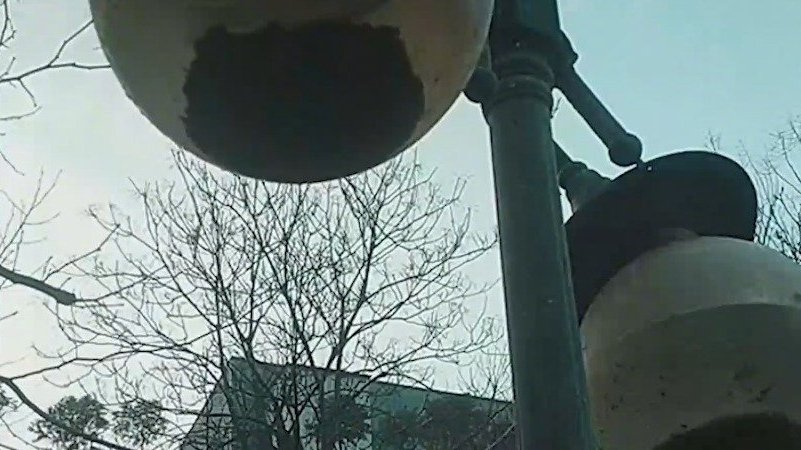 【小鱼郑州洪灾时误入灯罩存活半年,郑州鱼坚强现已放归湖中】去年7月20日,郑州发生特大暴雨