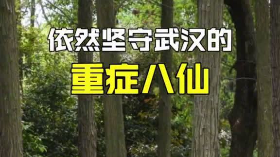 【不抛弃不放弃!仍坐镇武汉的重症八仙】目前武汉还有101例重症患者。8位仍坚守在武汉的专家