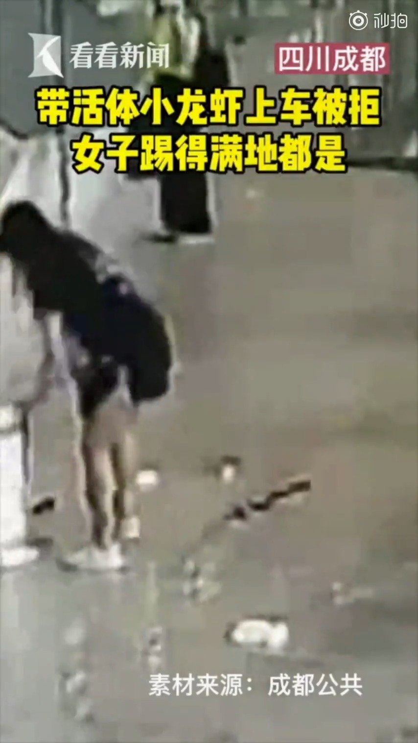 【女子欲带活体小龙虾上车遭拒大闹火车站 最终被处以行政拘留】近日,成都铁路南充北车站接警,