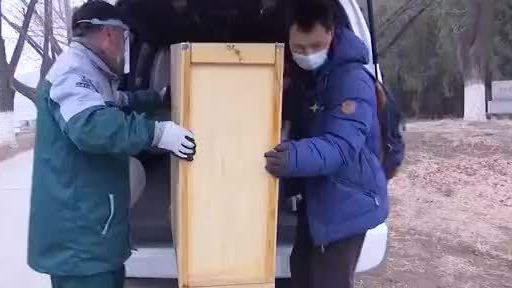 【今天是第八个“世界野生动植物日” 三只国家保护鸟类放归自然】今天上午,第八个“世界野生动