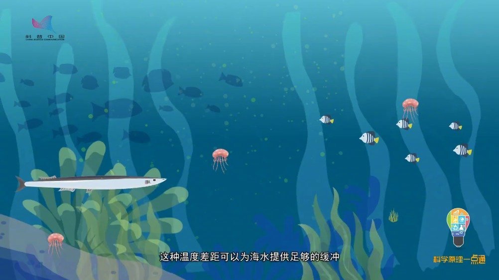 #十万个为什么#【南极那么冷,鱼为什么没有被冻死?[思考][思考][思考]】原来这就是南极