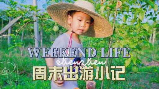 湛江|亲自动手,当个小农夫,到百香果园采摘百香果有“果汁之王”的称号,有黄色和紫色两个品种