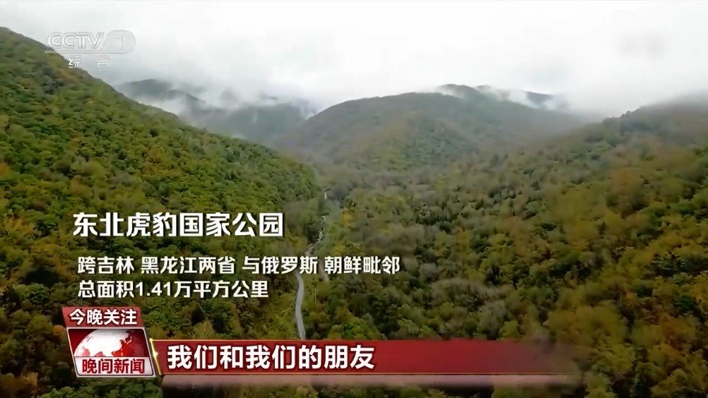 【飞越东北虎豹国家公园】东北虎豹国家公园跨吉林、黑龙江两省,与俄罗斯、朝鲜毗邻,总面积1.