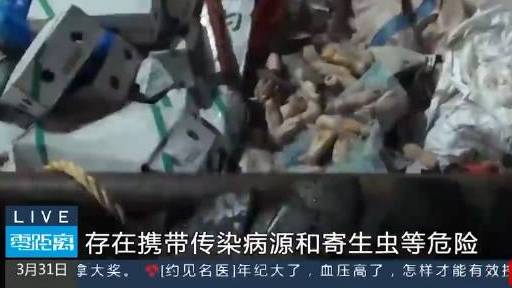 【#购买冻肉请注意这些#!#江苏海警查获500吨境外走私冻肉#】近日,江苏海警人员根据情报