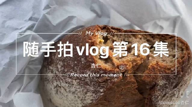 随手拍vlog第16集 
