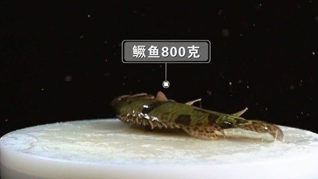 【江西是个好地方之风味江西 :一碗鲜香的鳜鱼煮粉】  