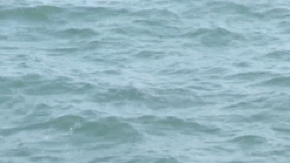 #打卡好客山东# 由中国水产科学研究院黄海水产研究所和长岛国家海洋公园管理中心联合开展的长