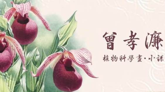 #盛夏理想色# 曾孝濂植物科学画教学视频课之耧斗菜背景绘画技巧感谢大家的等待,《大师小课》