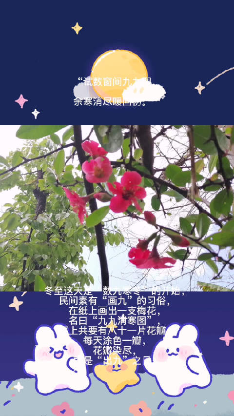七九第七天#我的微博之力# 