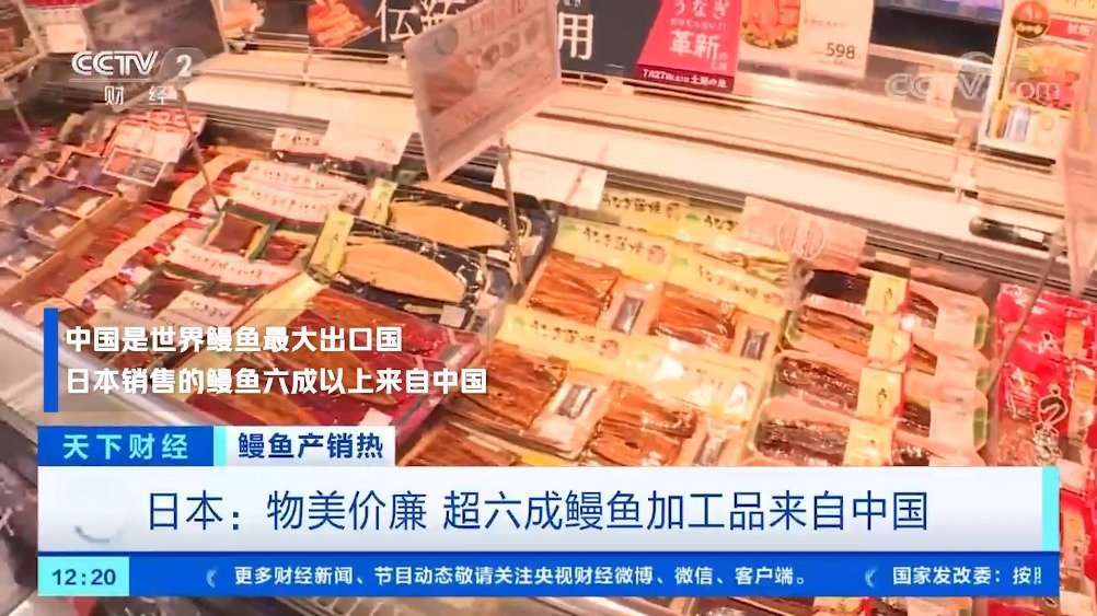 【#中国鳗鱼消费总量超过日本#】 据央视报道,近两年,我国鳗鱼出口转内销趋势明显,国内鳗鱼