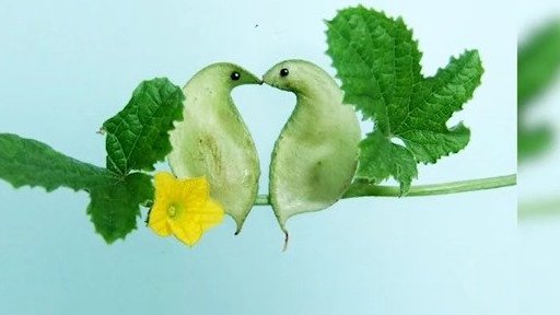 【#大爷用蔬菜制作出动物世界# 看着还特清爽!】河南开封,58岁的余跃军用苦瓜、茄子、白菜