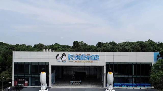 【#长沙#生态动物园极地馆今日开馆】今天起,在长沙就能近距离观看北极狐、北极狼及憨厚可爱的
