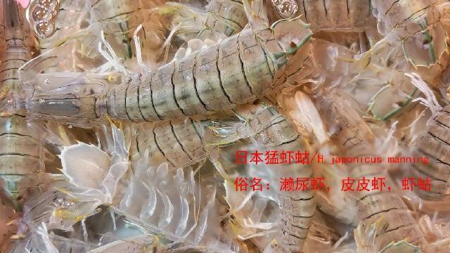 市场博物:湛江遂溪城内市场——虾、虾蛄、蟹#购物攻略##海鲜##湛江# 