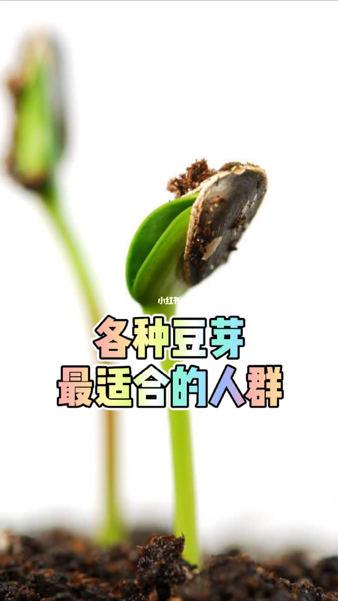 各类豆芽最适合的人群 绿豆芽 容易消化,具有清热解毒、利尿除湿的作用,适合湿热郁滞、口干口