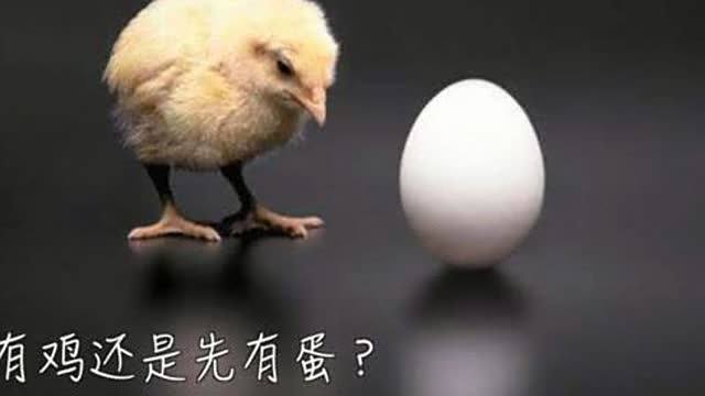 #涨姿势#鸡生蛋,蛋生鸡……到底是先有鸡还是先有蛋呢?来听听古生物学家怎么说。