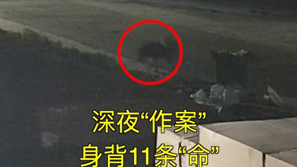 【深夜作案身背11条“命” 民警调查发现...[三哈]】近日,安徽亳州公安在线 谯城分局龙
