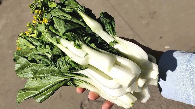 市场博物,粤地冬天特有靓菜,可大快朵颐广东人最爱青菜,但高温下叶菜食味差,只有到冬天,青菜