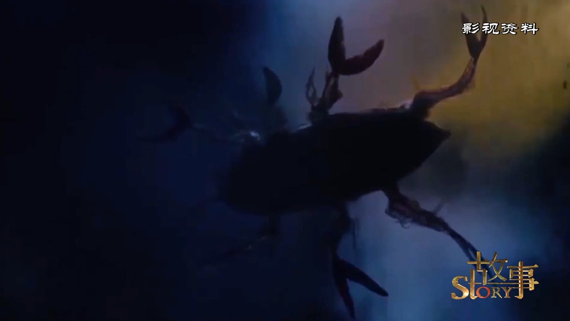 你知道吗?在19世纪前,“美人鱼”是危险的代名词