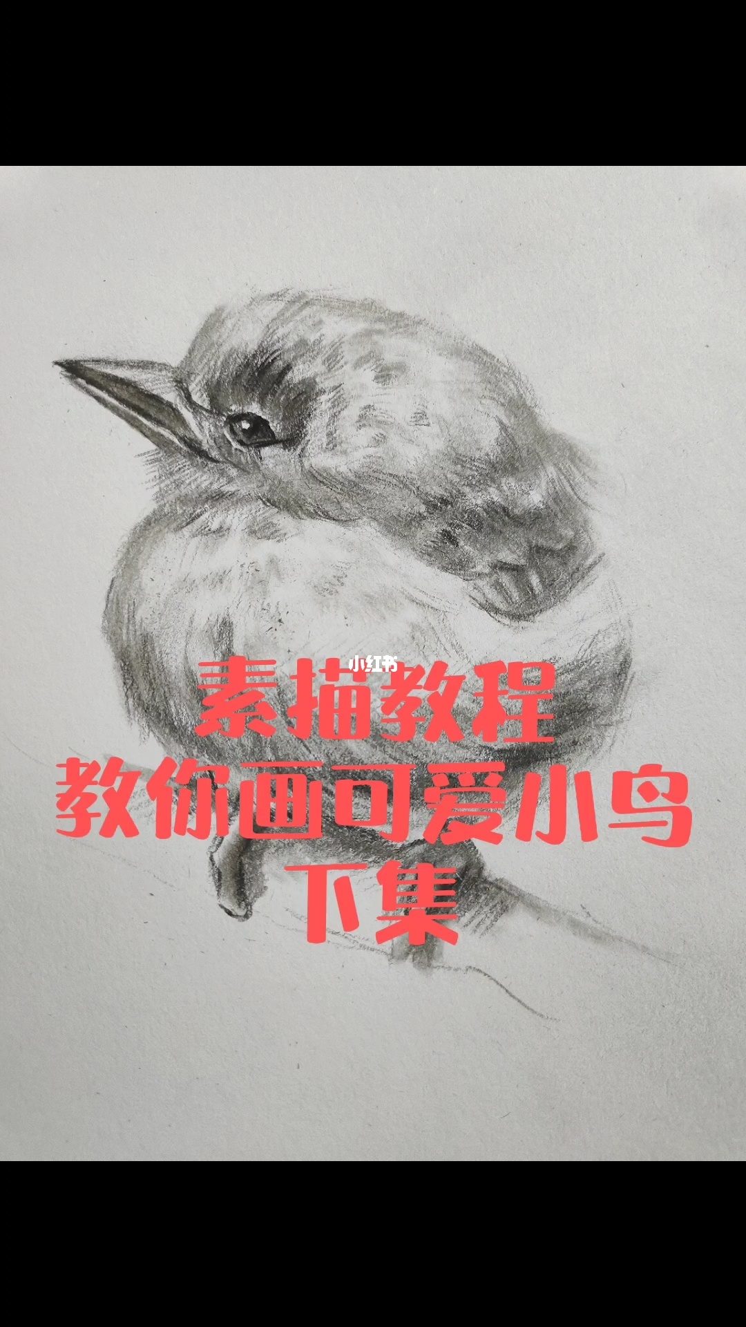 素描教程|教你画可爱小鸟下集 你学会了可以考上中央美院,你信吗