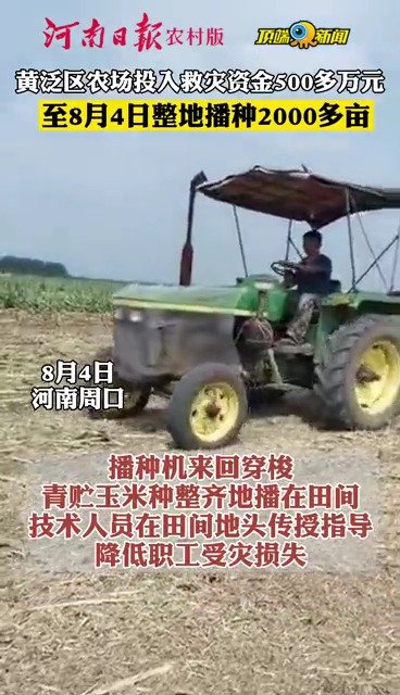 播种机来回穿梭,青贮玉米种整齐地播在田间,技术人员在田间地头传授指导。据黄泛区农场工作人员