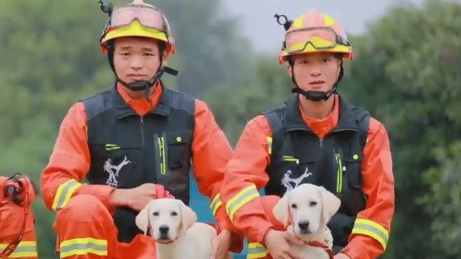【这次谐音梗获胜!3只消防搜救犬取名潇潇凡凡圆圆,谐音“消防员”】近日,湖南省消防救援总队