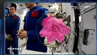 【王亚平说花让我想到女儿也想到你们】今天,中国航天员开直播。王亚平在水膜实验中,将和女儿在