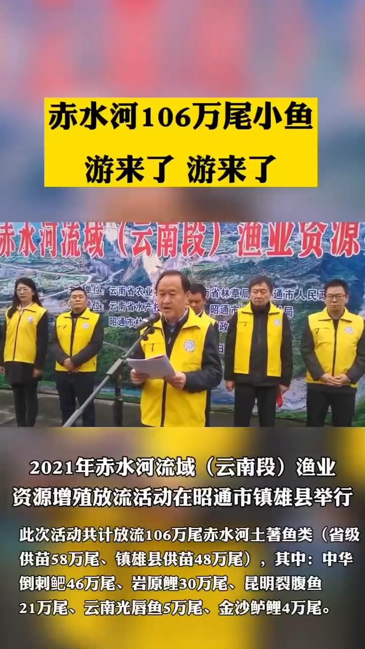 【昭通镇雄,106万尾赤水河土著鱼类放流赤水河】11月3日,2021年赤水河流域(云南段)