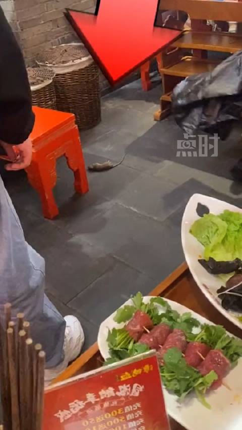 【武汉知名火锅店天降老鼠砸到食客 目击者:员工淡定扫走并无解释】12月4日,湖北武汉。刘女