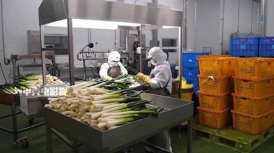 方便面是怎么加工出来的 #方便面是怎么加工出来的#