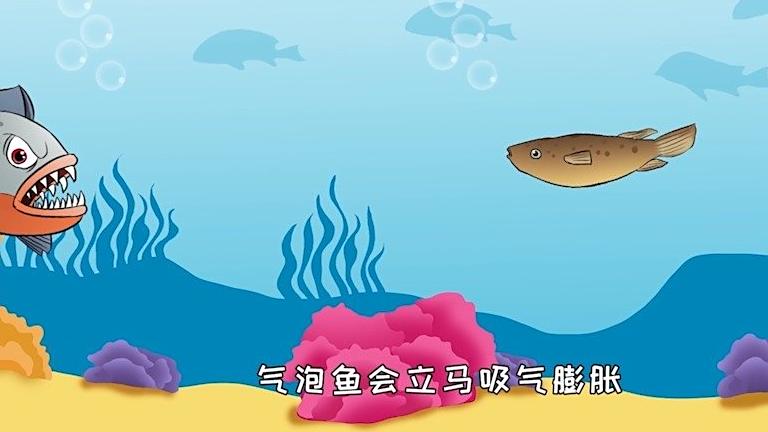 【大千世无奇不有!“哈雷狗头”又是个啥?】倒计时41天! 说起河豚,那可是大名鼎鼎。因为它