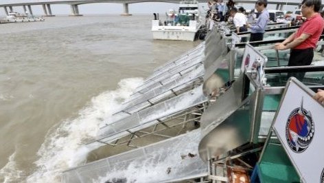 【今天,24尾中华鲟放流长江】6日,上海长江大桥北岸东侧海警码头水域,24尾全长100-1